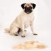 FURminator De-Shedding Tool for Large Dogs - Version 1.0 - 1 Count - Buy Online on GoSupps.com