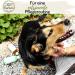 Kanuki Dogefell Nursing Spray - 200ml Essential Lemongrass Oil & Aloe Vera for All Fur Types - Silicone-Free Smooth Fur Care - Buy Online on GoSupps.com