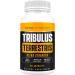 1500mg Tribulus Terrestris Extract for Men & Women - Energy & Strength Booster - 2 Pack - Vegan & Gluten Free - Buy Online on GoSupps.com