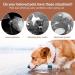500ml Dog Drinking Bottle - Foldable Water Bottle for Pets | Portable Water Bowl on the Go - Buy Online on GoSupps.com