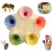 Bee Insect Drinking Cups for Garden Bee Cups for Thirsty Bees Garden Bee Cups Pollinators Bee Drinking Cups for Garden bee water feeder Bee Cups Bee Drinking Cups for Garden (Colors