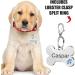 Nibana 2 Pack Personalized Pet ID Tags Dog Name Tags Engraved on Both Sides 4 Lines of Custom Text Paw Print Bone Pet Tag for Dogs Cats (Blue) - Buy Online on GoSupps.com