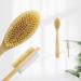 CARELAX Long Handle Back Scrubber Brush with Pumice Stone - Body Exfoliating for Shower and Dry Brushing - Buy Online on GoSupps.com
