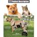 Dog Wheelchair Dog Wheelchair for Back Legs Walk Tool Adjustable Pet Wheelchair Assisted Walker Tool Pet Wheelchair Portable XX-Large - Buy Online on GoSupps.com