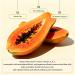 lobany Papaya Enzyme Gentle Daily Cleanser Sulfate-Free Face Wash with Tocopherol for Blackhead Removal pH 5.5 Weak Acidic Antioxidant Vitamins A B C Korean Skincare (150ml/5.07 fl.oz.) - Buy Online on GoSupps.com