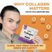 GoBeDo Collagen Protein Chips First Collagen-Based Snack 13g Protein Low Carb Keto Friendly Healthy Chips & Crisps Alternative to Collagen Powder 10 Bags Sweet Chilli Pepper Flavor - Buy Online on GoSupps.com