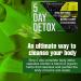 Strip 5 Day Detox Cleanse - Natural Body Cleanse for Liver, Urinary Tract & Kidney - 40 Capsules - Buy Online on GoSupps.com