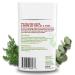 Stinkbug Naturals Organic Plastic Free Deodorant Stick - Cedar Eucalyptus Aluminum Free 2-Pack | Eco-Friendly Natural Ingredients Activated Charcoal - Buy Online on GoSupps.com