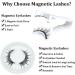 2 Pairs Magnetic Eyelashes Magnetic Lashes Magnetic Eyelashes Natural Look with Applicator Reusable Fake Lashes No Glue Fluffy False Eyelashes - Buy Online on GoSupps.com