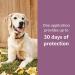 Amazon Basics Flea and Tick Topical Treatment for Large Dogs 45-88 lbs - 6 Doses - Buy Online on GoSupps.com