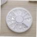 COHEALI 1pc 12 Nail Art Glitters Nail Decorations for Nail Glitter Metal Trim Nail Art Decoration Gold Nail Art Nail Embellishments Diy Nail Decals Rhinestone Decor Disc Manicure - Buy Online on GoSupps.com