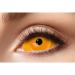 Eyecatcher 84091541.s25 - Colored Sclera Contact Lenses 1 Pair for 6 Months Orange Carnival Mardi Gras Halloween