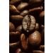 Caff Corsini - Compagnia dell'Arabica Arabica Coffee aromatic and creamy beans pack of 1 kg of roasted coffee beans - Buy Online on GoSupps.com