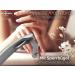 Professional Foot Care Head Cutter Nail Pliers - Double Gear Ratio 4-Way Screwed for Precision & Comfort - Buy Online on GoSupps.com