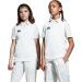 Shop Canterbury Boys Junior Sleeveless Cricket Overshirt Vest - 14 Years - Cream | International Shipping Available - Buy Online on GoSupps.com