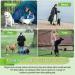 Shop Robust 50ft Expression Cable for Dogs - Durable Outdoor Leash for Farm & Camping (16ft Green) - Buy Online on GoSupps.com