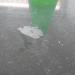 100g Marble Polishing Powder for Kitchen Countertops, Floors & Travertine - Restore Shine & Luster - Buy Online on GoSupps.com