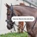 HEEPDD Horse Neck Stretcher 9.84ft Elastic Nylon Rope Horse Reins Training Rope Comfortable Training Aid - Buy Online on GoSupps.com