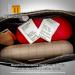 Buy 100 Silica Gel Desiccant Bags (1g) - Moisture Removal for Shipping & Storage | Best Quality USA - Buy Online on GoSupps.com