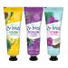 St. Ives Hydrating Hand Cream | Blueberry, Avocado, Coconut Variety Pack | Travel Size Lotion (Pack of 3) Blueberry- Avocado - Coconut 1 Fl Oz (Pack of 3)