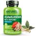 NATURELO Ashwagandha Organic Root Powder - Natural Herbs Supplement for Fatigue, Stress Relief, Mood Enhancer - with Black Pepper Extract - 90 Vegan Capsules 90 Count (Pack of 1)