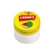 CARMEX Watermelon SPF15 Lip Balm - Soothes & Moisturizes | 7.5g | International Shipping - Buy Online on GoSupps.com