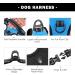 Phoepet Reflective Dog Harness for Small Dogs | Adjustable Front Clip & Handle | Easy On/Off | Medium Blue - Buy Online on GoSupps.com