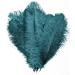 CENFRY 10pcs Ostrich Feathers 10inch Plumes for Wedding Centerpieces Home Decoration (Teal)