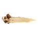 Vichy Dermafinish Concealer Stick 15 Opal - High Coverage Formula - Buy Online on GoSupps.com