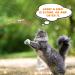 JXFUKAL Cat Wand Toys with 3 Feather Refills - Interactive 29'' Flexible Steel Wire - Sturdy Wood Handle & Bell - Indoor Cat Teaser Toy Set - Buy Online on GoSupps.com