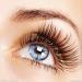 Eyelash Extensions Lash Kit | Ideal for Beginners & Professionals | Shop Internationally - Buy Online on GoSupps.com