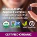 Fruily Organic Elderberry Gummies for Kids - Immune Support with Vitamins C, D & Zinc - 50 Count - Buy Online on GoSupps.com