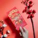 ABOOFAN 24pcs God of Wealth Red Envelope Bag Rabbit Year Envelope Chinese New Year Red Envelope Lucky Money Envelopes Bunny Red Envelopes See Spring Bao Paper Zodiac Bag Chinese Style - Buy Online on GoSupps.com