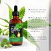 Jamaican Black Castor Oil 100% Pure Cold Pressed - Organic Hair Growth Eyelash & Eyebrow Enhancer Moisturizing Massage Oil 120ml | International Shipping - Buy Online on GoSupps.com