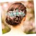 HAPINARY Hair Plug Bride Headpiece Rhinestone Hair Clip Bridal Hair Clip Hair Clips Combs for Women Floral Hair Comb for Women Hair Clip for Wedding Rose Hair Clip Tiaras for Gajra - Buy Online on GoSupps.com