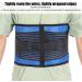 Breathable Adjustable Back Support Belt for Pain Relief - Lower Back Lumbar Support for Men & Women (Large) - Buy Online on GoSupps.com