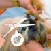 Minkissy Metal Shear Onion Cutter for Animal Hair Cutting - 10 Pack Enhances Shearing Efficiency - Buy Online on GoSupps.com