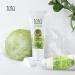 TNTN MOM'S Cabbage Breast Care Set - 8 Patch + 3.38 Fl oz Cream for Breastfeeding and Pregnancy - Buy Online on GoSupps.com