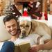 Shop Lynbly Christmas Reindeer Headband for Pets | Adjustable Cat & Dog Headgear with Santa Hat - Buy Online on GoSupps.com