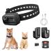 Yolansin 4K Cat Collar Camera WIFI Dag Camera with 64GB SD Card Mini Pet Camera for Video Records Dog Collar Camera for Pet Supplies Camera for Cats Dogs Outdoor/Inoor Puppy Supplies Birthday Gift