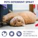 LDREAMAM Anti-Scratch Spray for Cats & Dogs - Effective Scratch Protection & Defense Spray - 1PC - Buy Online on GoSupps.com