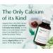 AlgaeCal Bone Builder Pack - Organic Red Algae Calcium Supplement For Women. With 16 Bone Strength Nutrients. Clinically Supported to Increase Bone Density Within 6 Months Guaranteed! - 3 Month Supply 180 count (Pack of 3) - Buy Online on GoSupps.com