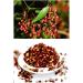 Whole Szechuan Peppercorns Premium Sichuan Red Peppercorns Wild Ma Pepper Chinese Seasoning Spicy and Delicious Recipes Da Hong Pao 50G (Red-Peppercorns) - Buy Online on GoSupps.com