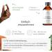 Darmstur Complex: 10 Billion KBE Probiotics with 31 Strains Lactobacillus & Bifidobacteria Organic Seed Fermentation for Gut Health - Buy Online on GoSupps.com