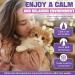 Cat Pheromones Soothing Diffuser Refill Pack - 6 Multi-Cat Pheromone Refills to Relieve Anxiety Stress & Reduce Scratching - Buy Online on GoSupps.com
