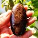 Crystal Rough Natural Stone Sardonyx Agate Palm Stones playthings Small Stones and Crystals Crystals - Buy Online on GoSupps.com