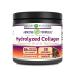 Amazing Formulas Hydrolyzed Collagen with Hyaluronic Acid & Multivitamins Supplement | 30 Servings Powder | 660 Grams | Chocolate Flavor