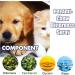 Effective Anti-Kau Spray for Dogs & Cats | Stop Chewing & Scratching | 50ml - International Shipping Available - Buy Online on GoSupps.com
