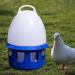 LOVIVER Portable Pigeon Waterer Drinker Cage Accessories Water Pot Container Water Bottle Automatic Bird Water Dispenser for Parrot Parakeet Dove 8L D 22cm H 38CM - Buy Online on GoSupps.com