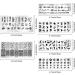 Longbest Nail Stamping Plate Set - 6pcs DIY Nail Art Templates for Women | International Shipping Available - Buy Online on GoSupps.com